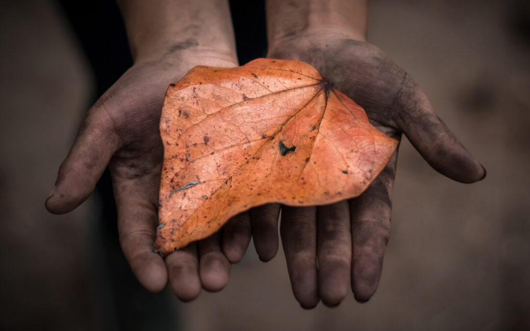 Impacting female waste-pickers through your contribution