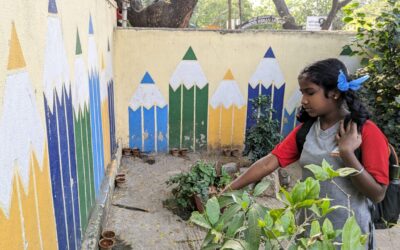 Cultivating Curiosity: The Veggie4School Journey at GKMPS Cox Town